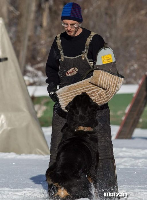Зоогостиница для собак