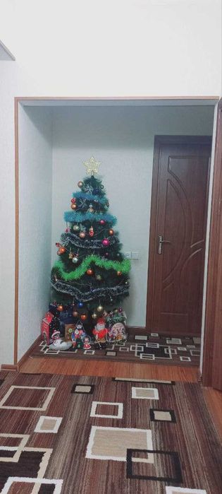 3-х комнатная квартира на Карасу-6