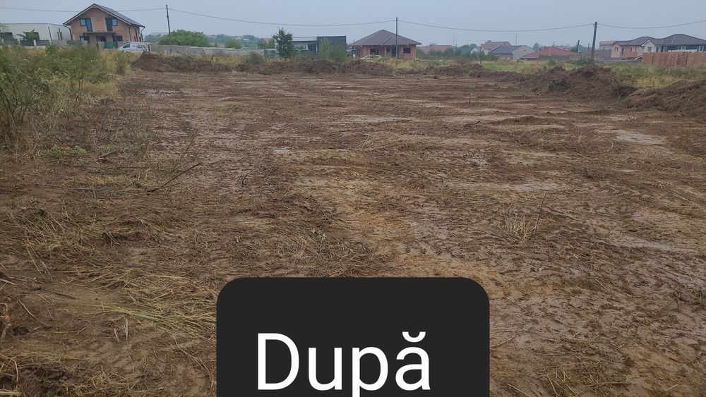 Amenajari spatii verzi si defrisari terenuri