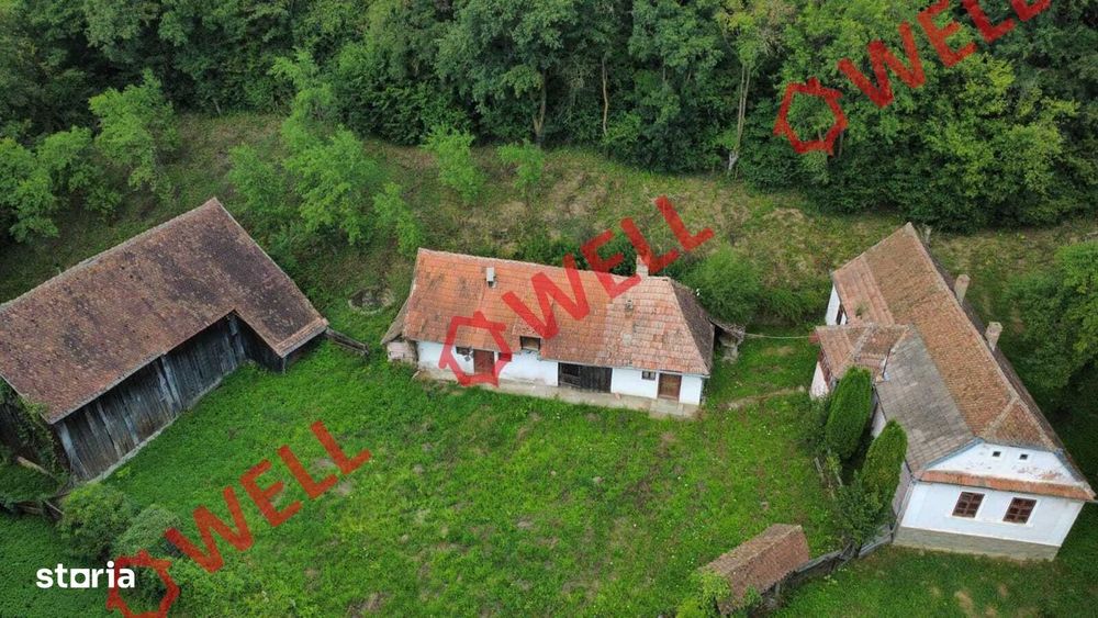 De vânzare proprietate de familie în Belin-Vale