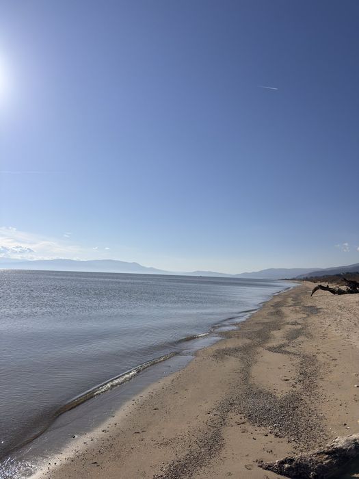 Дава се под наем Земеделски имот в София, Дружба 1 -  кв.м за 13964.31 € - Снимка #6