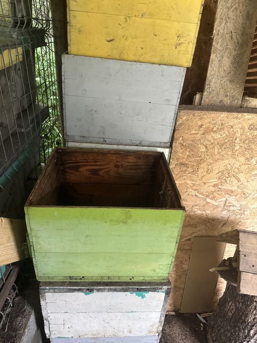 Cutii stupi rama 1/1 si cat 3/4 cu rame cladite