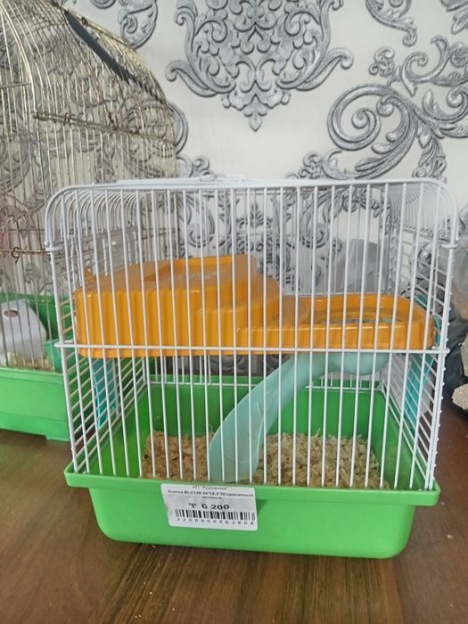 Продам Хомяков 2 шт