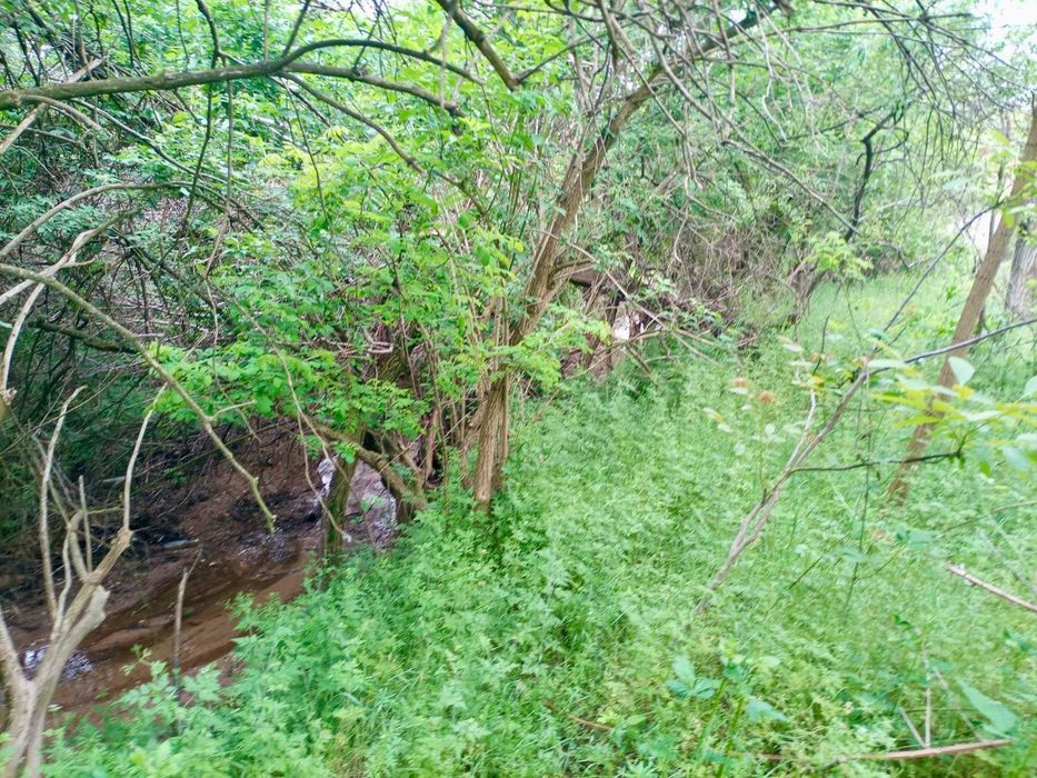 Продава се Парцел в с. Червенаково, Област Сливен - 740 кв.м за 15 €/кв.м - Снимка #2