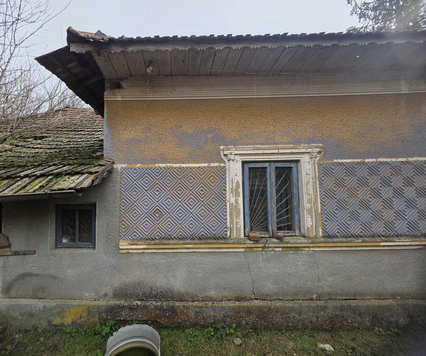 Teren 5000mp intravilan + casa veche | Curcani - Calarasi | 50km Buc