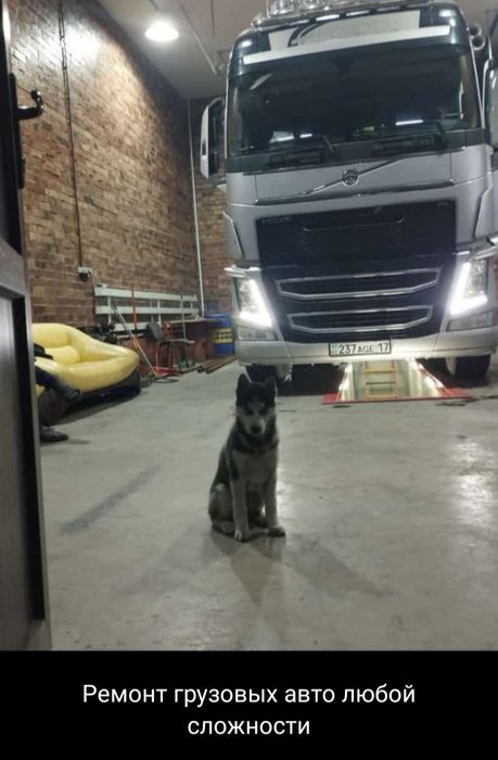 Ремонт Грузовых машин