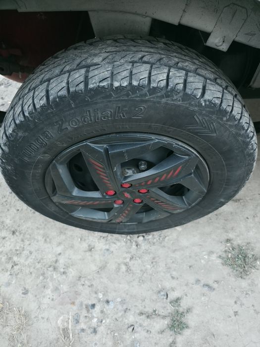 Damasga R13 balon sotiladi