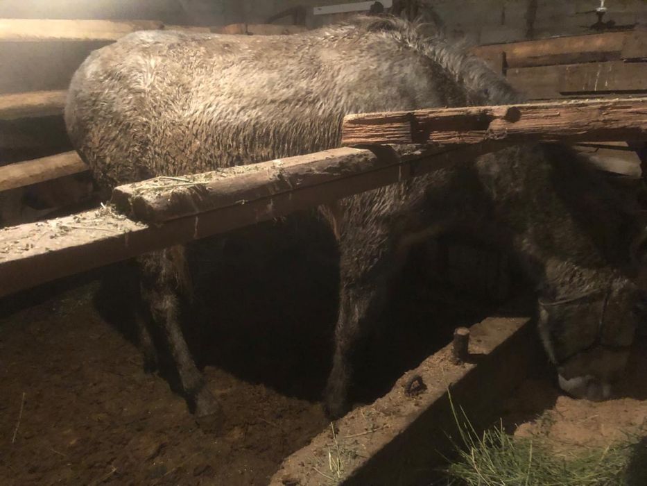 Сатылады.        .