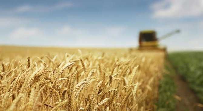 Продава се Земеделски имот в Разград, Васил Левски -  кв.м за 2040 €/дка - Снимка #1