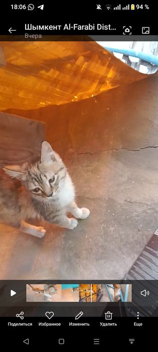 розыск помогите!