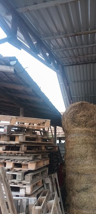 Structura metalica  pentru hala metalica