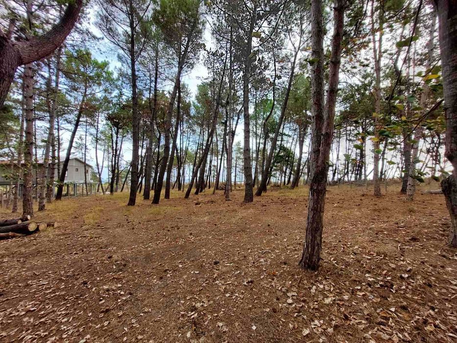 Продава се Парцел в София, 7-ми 11-ти километър - 760 кв.м за 22 €/кв.м - Снимка #2