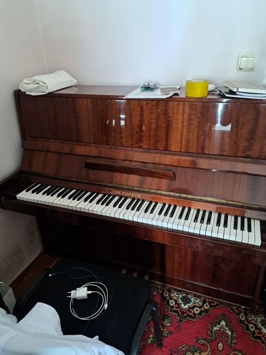 Беларусь пионена