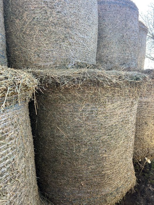 Baloti lucerna (transport contra cost motorina)