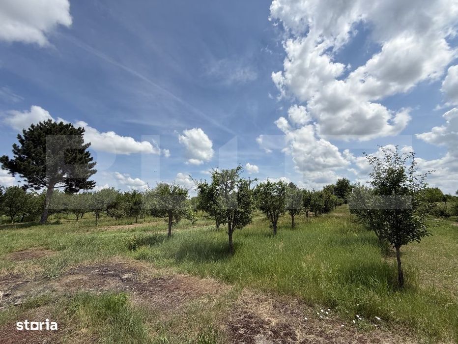 Teren cu livada si lac populat cu peste, 37.620 mp, zona Oar - Vetis