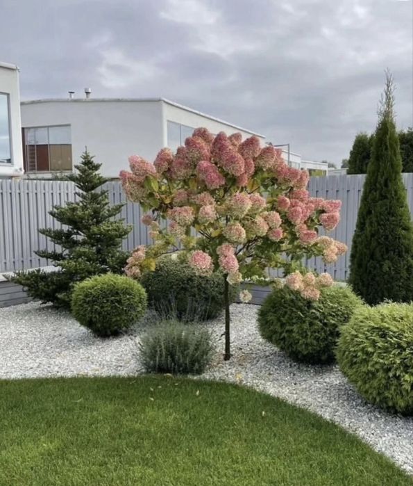 Мраморные крошки