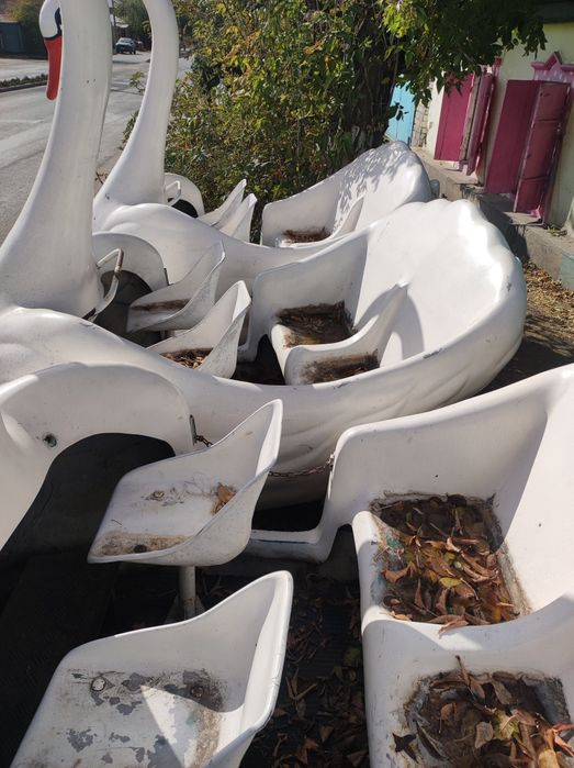 Три белых лебедя