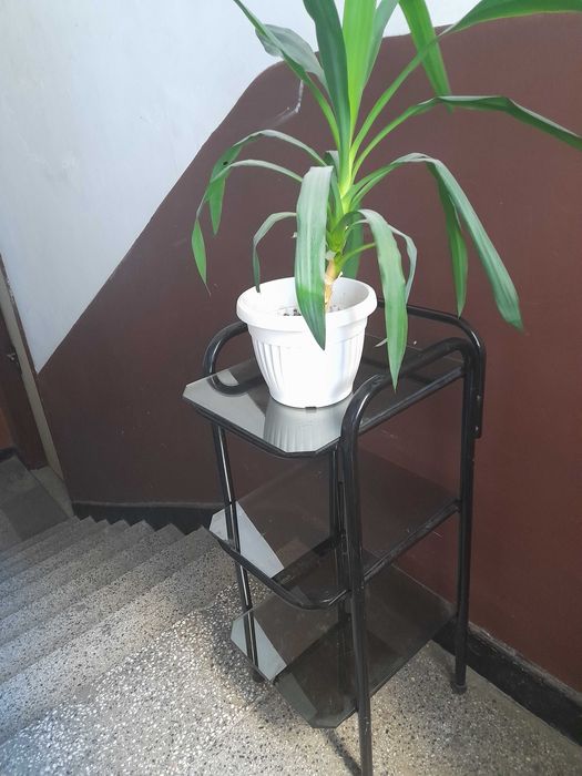 Поставка за цветя и др.