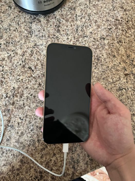 İPhone 12 Pro Max 256GB
