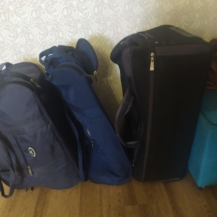 2 дорожные сумки на колесиках