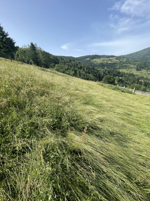 Vand teren + casa veche, suprafata 4000 mp situat langa drum principal