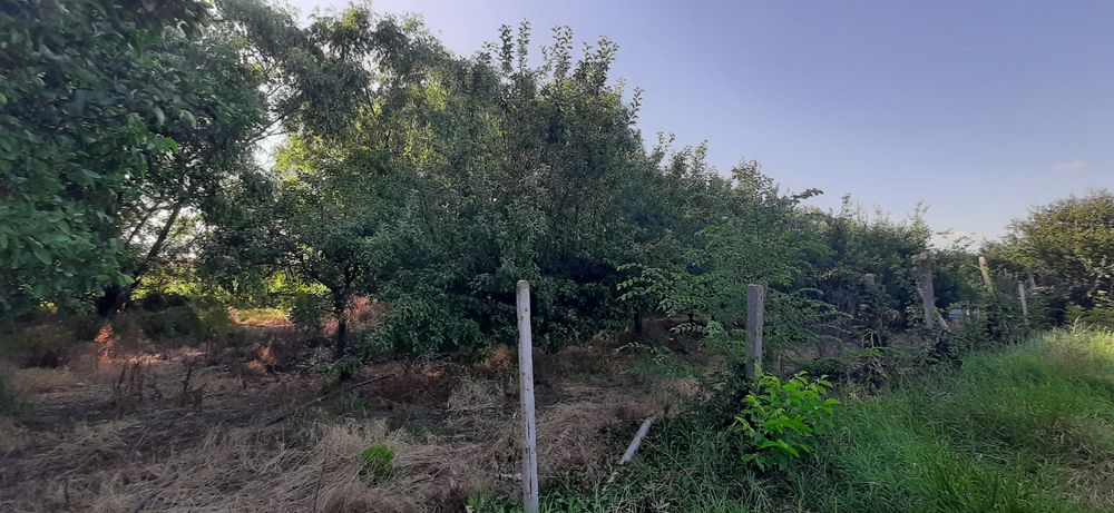 Продава се Земеделски имот в с. Конуш, Област Пловдив -  кв.м за 20000 €/дка - Снимка #5
