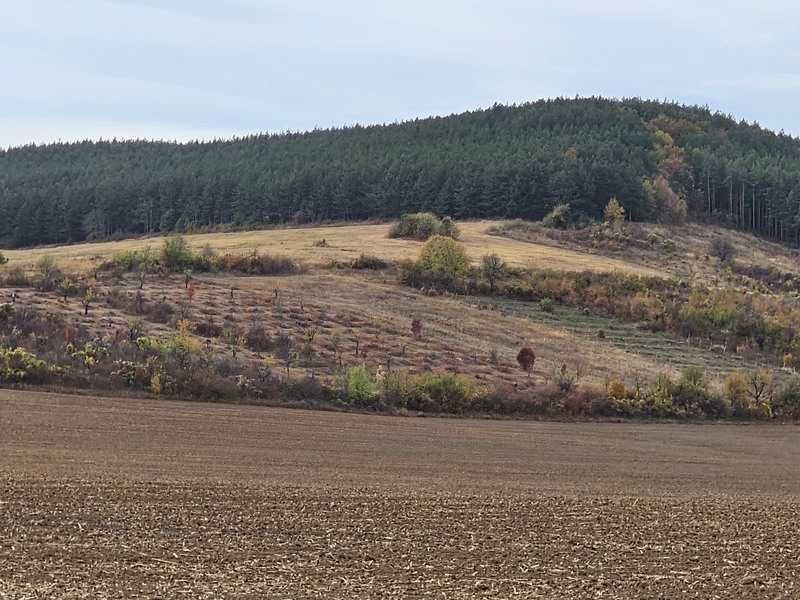 Продавам 11,299 дка земя в землището на с. Имренчево