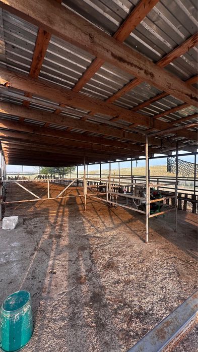 Фазенда для КРС и птицы