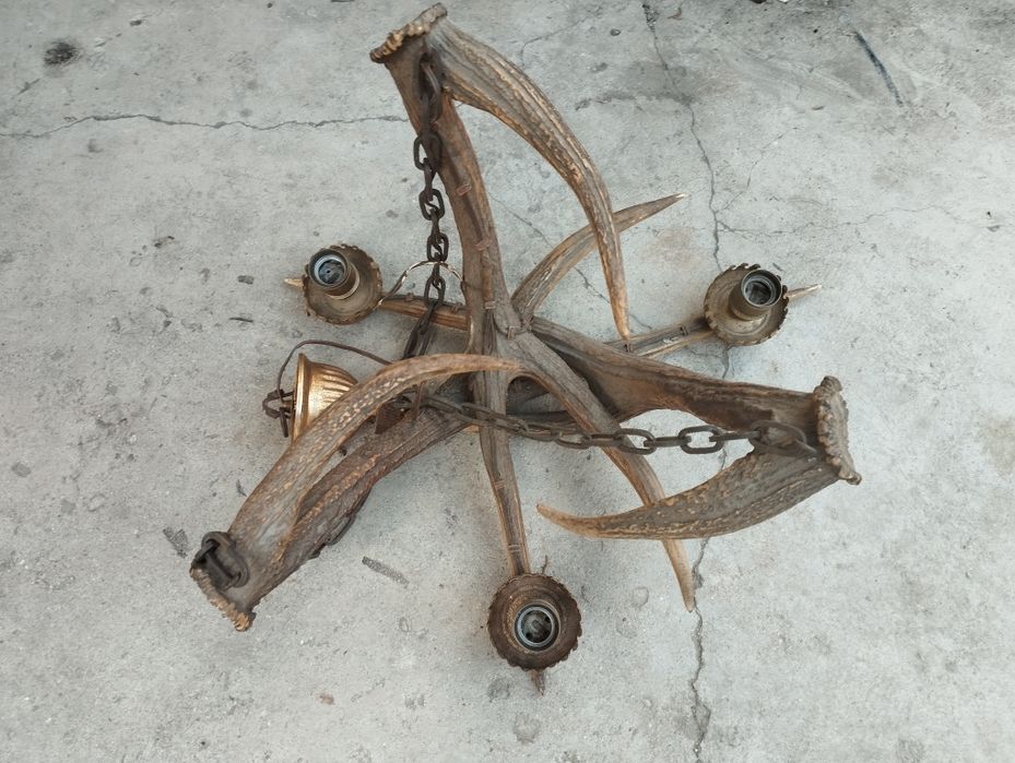 Стар полилей от 3 еленови рога