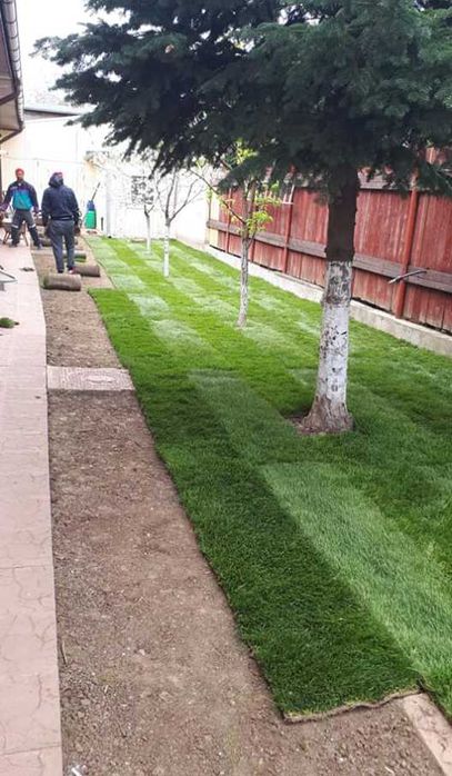 Amenajare Rapidă cu Gazon Natural și Sisteme Moderne