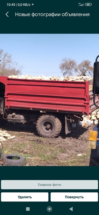 Берёза Белая, Сосна