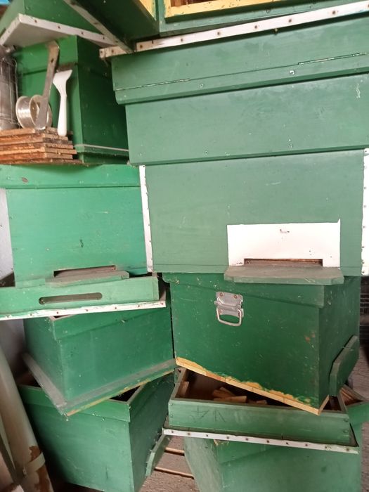 Cuti albine+magazii ,rame ,folosite,noi +accesorii