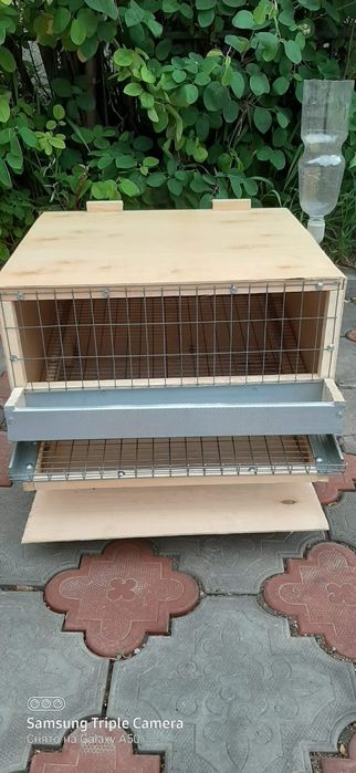 Клетка для перепелов