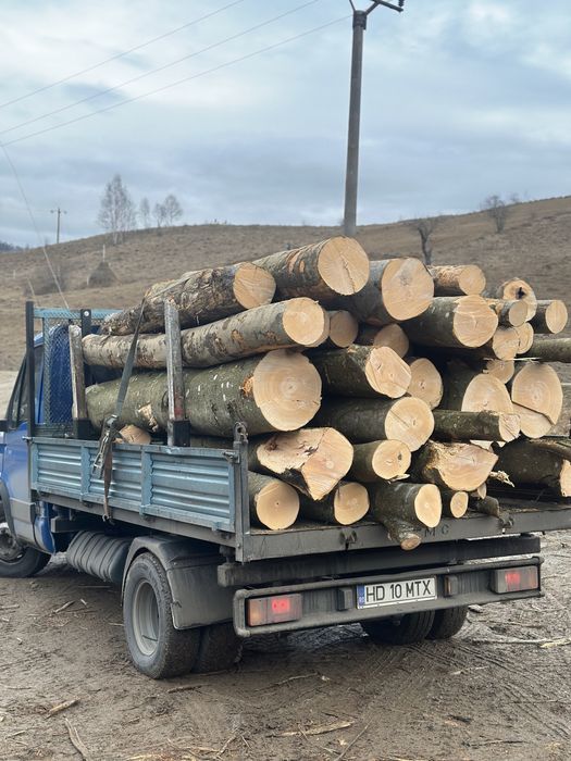 Lemne foc boci,3M,metru