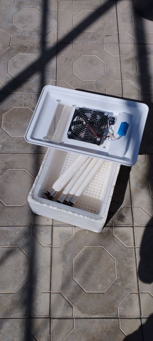 Inkubator xitoy zavadskoy 24 lik