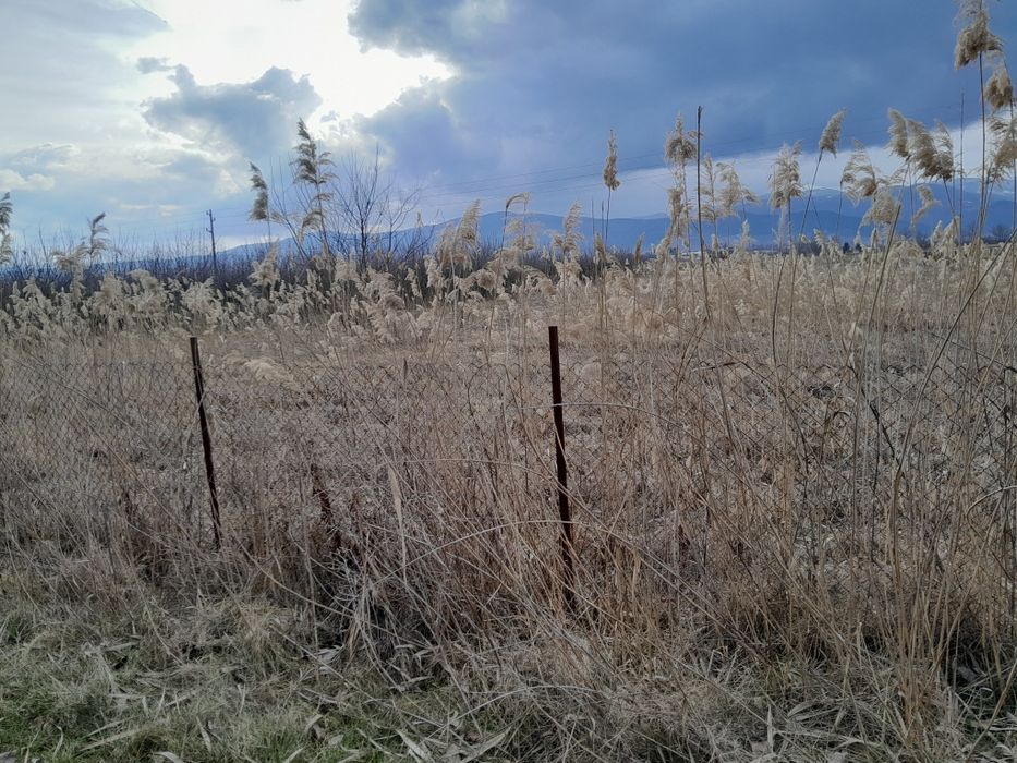 Продава се Земеделски имот в с. Жиленци, Област Кюстендил -  кв.м за 3800 €/дка - Снимка #1