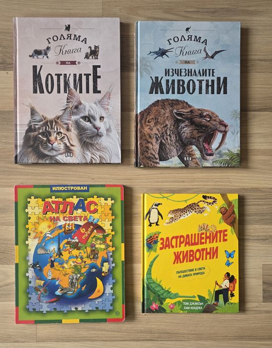 Разнообразие от детски книжки и енциклопедии 12
