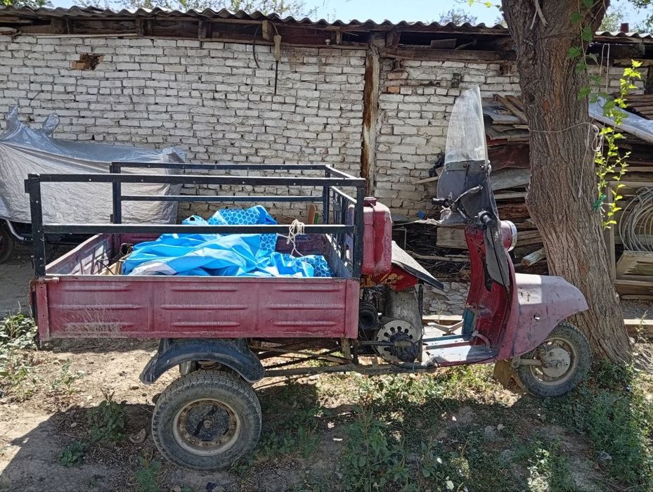 Продаётся муравей
