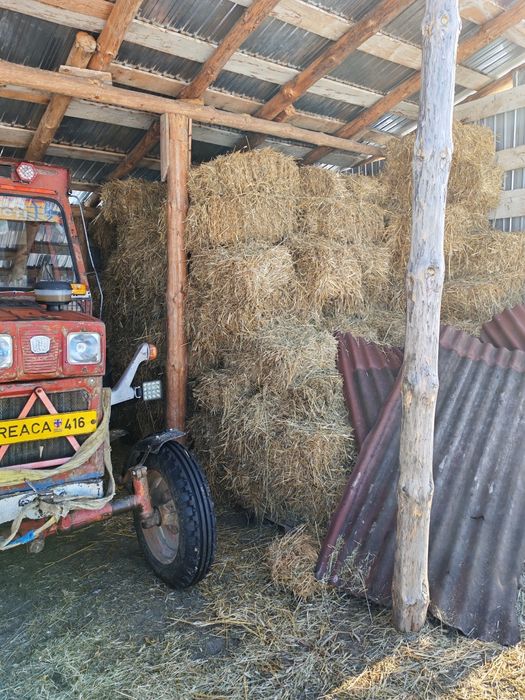 Baloți de paie de vânzare