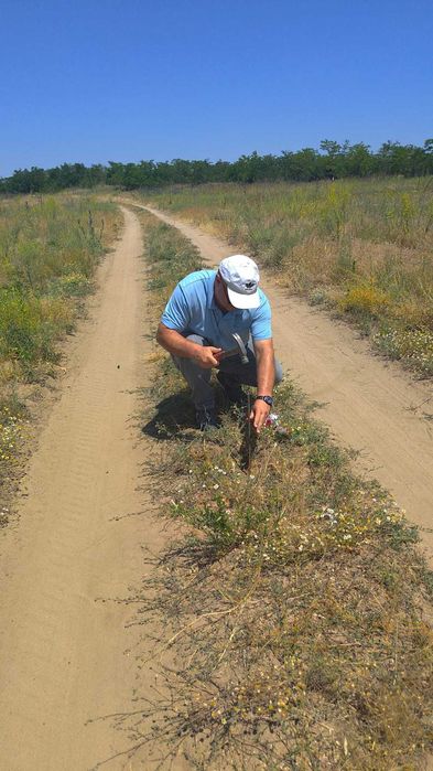 Oferta!!   Teren intravilan Malu Mare 1500 mp - strada Salcamilor