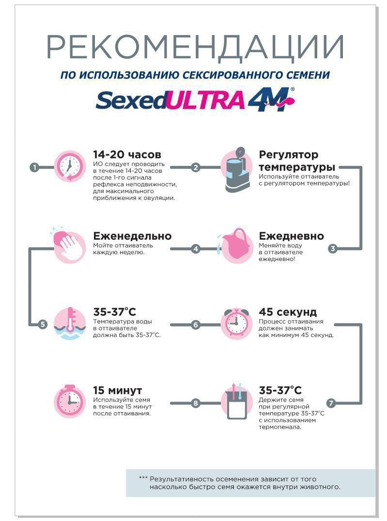 Как устроена мужская репродуктивная система - схема мужской половой системы