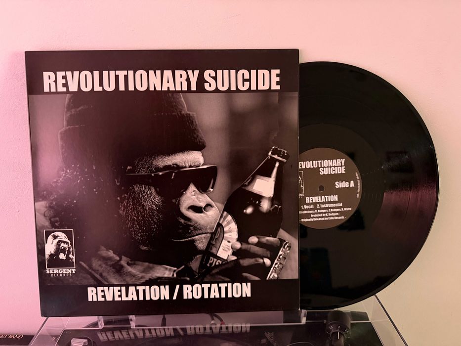 Colecție Vinyl House / Deep House / Garage / Electro / Hip-Hop 90s / Reggae – Maxi Singles & EPs