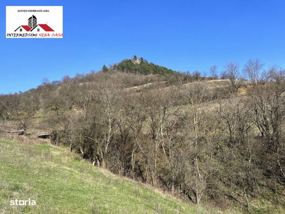 Teren intravilan - extravilan 9,3 Ha de vanzare Matacina Jud Alba