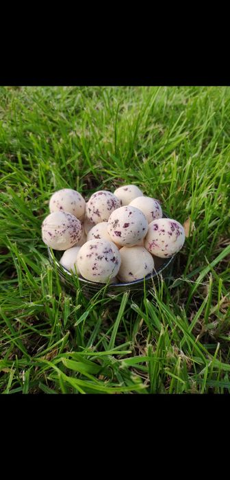 Курт оптом из Шымкента