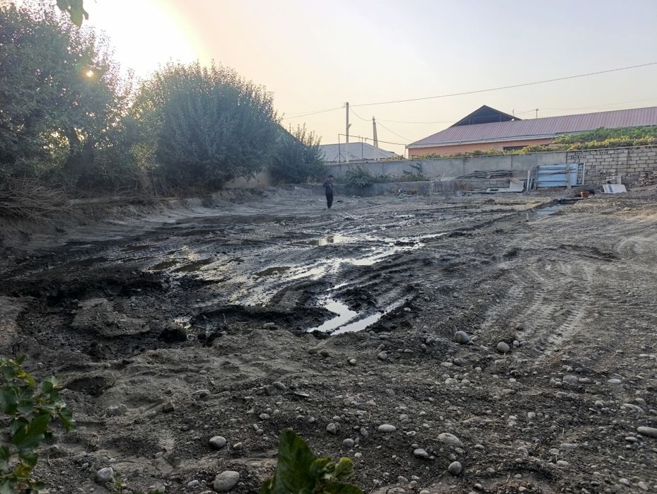 Чек сотилади 6 сотих