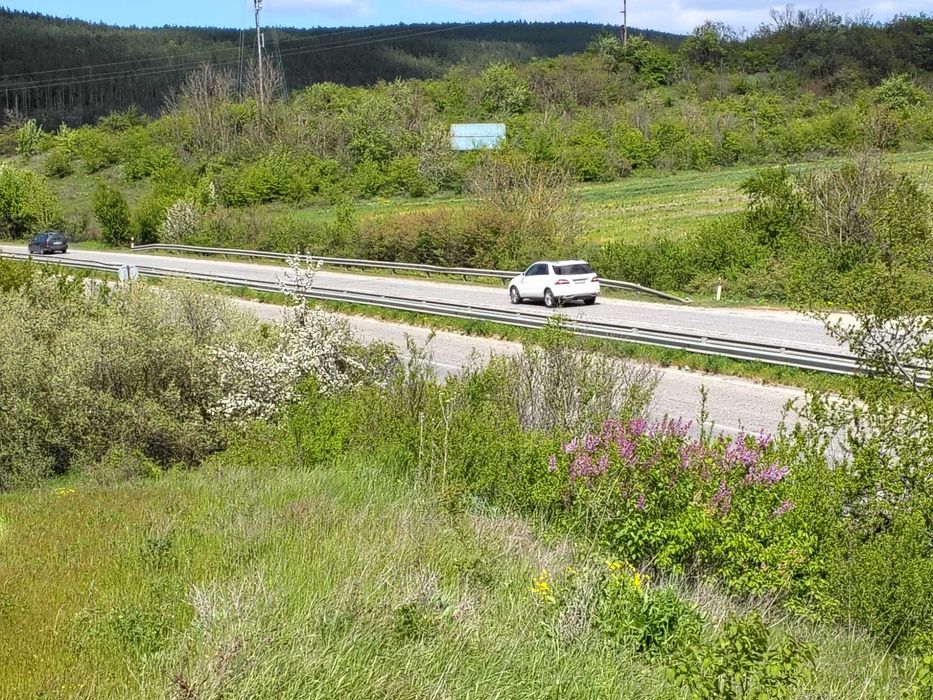 Продава се Земеделски имот в Дебелец -  кв.м за 7 €/дка - Снимка #11