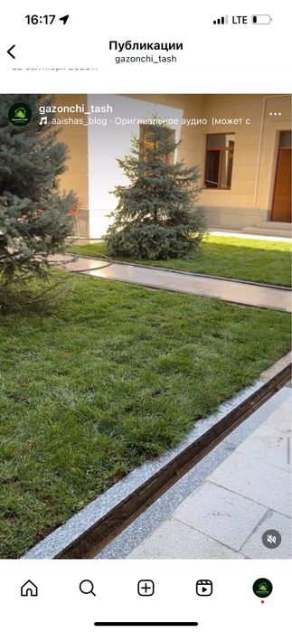 Gazon ustanovka landshaft dizayn