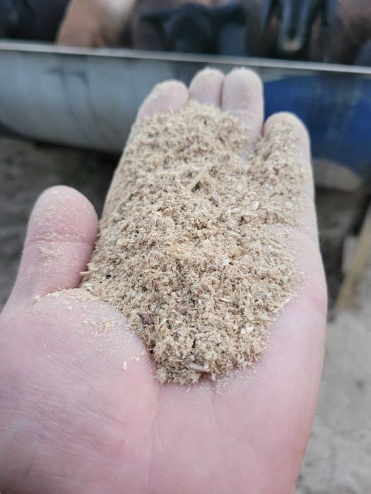 Зерно. Отход   пшеница. Чорва. Мол. Куйга