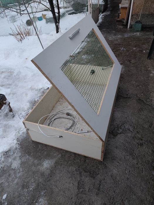 Брудер для цыплят