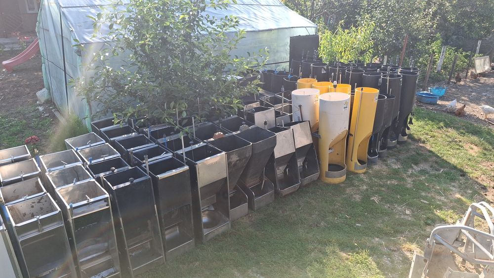 Hranitoare porci automate/Boxe fatare/Podele